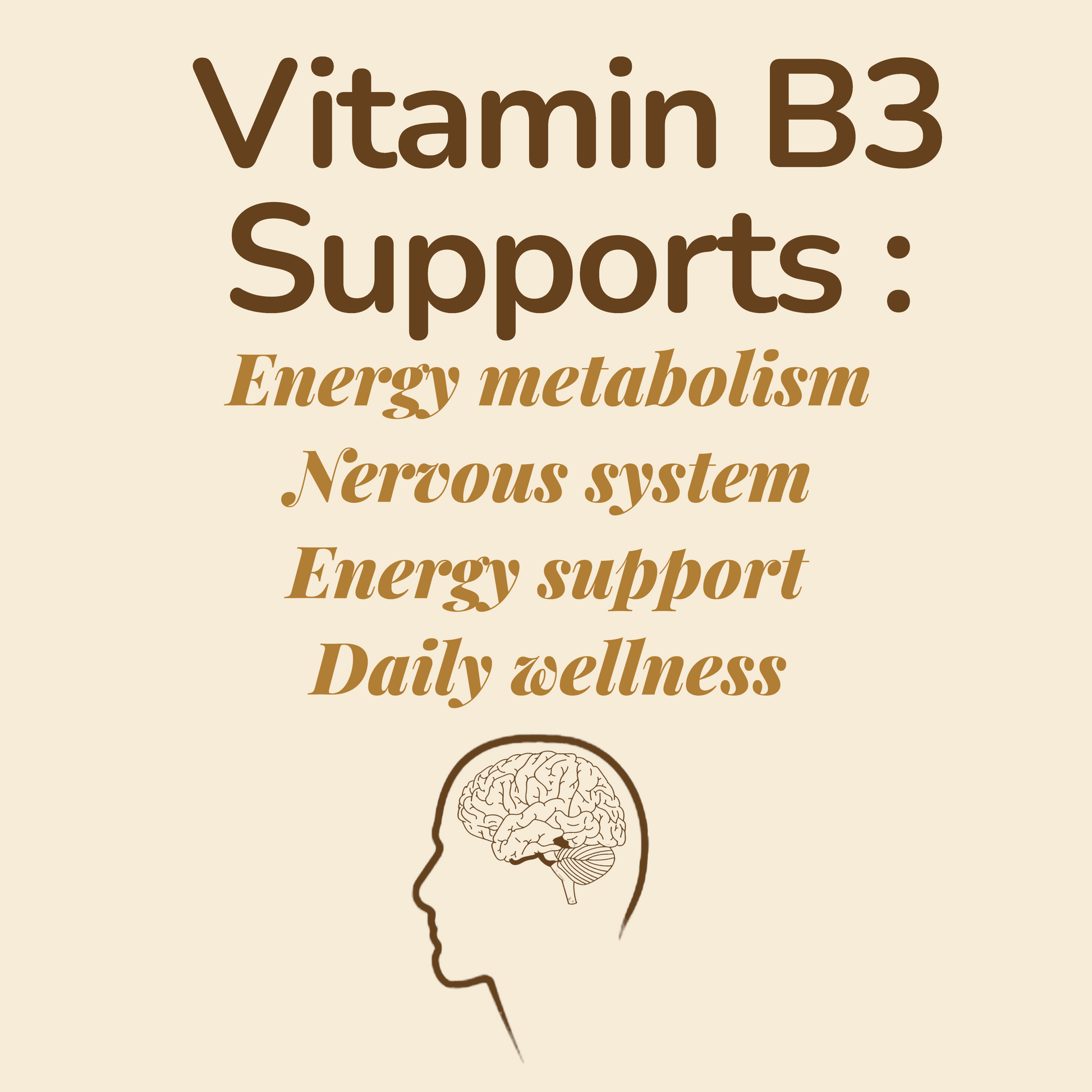 Csutra Vitamin B3 Benefits