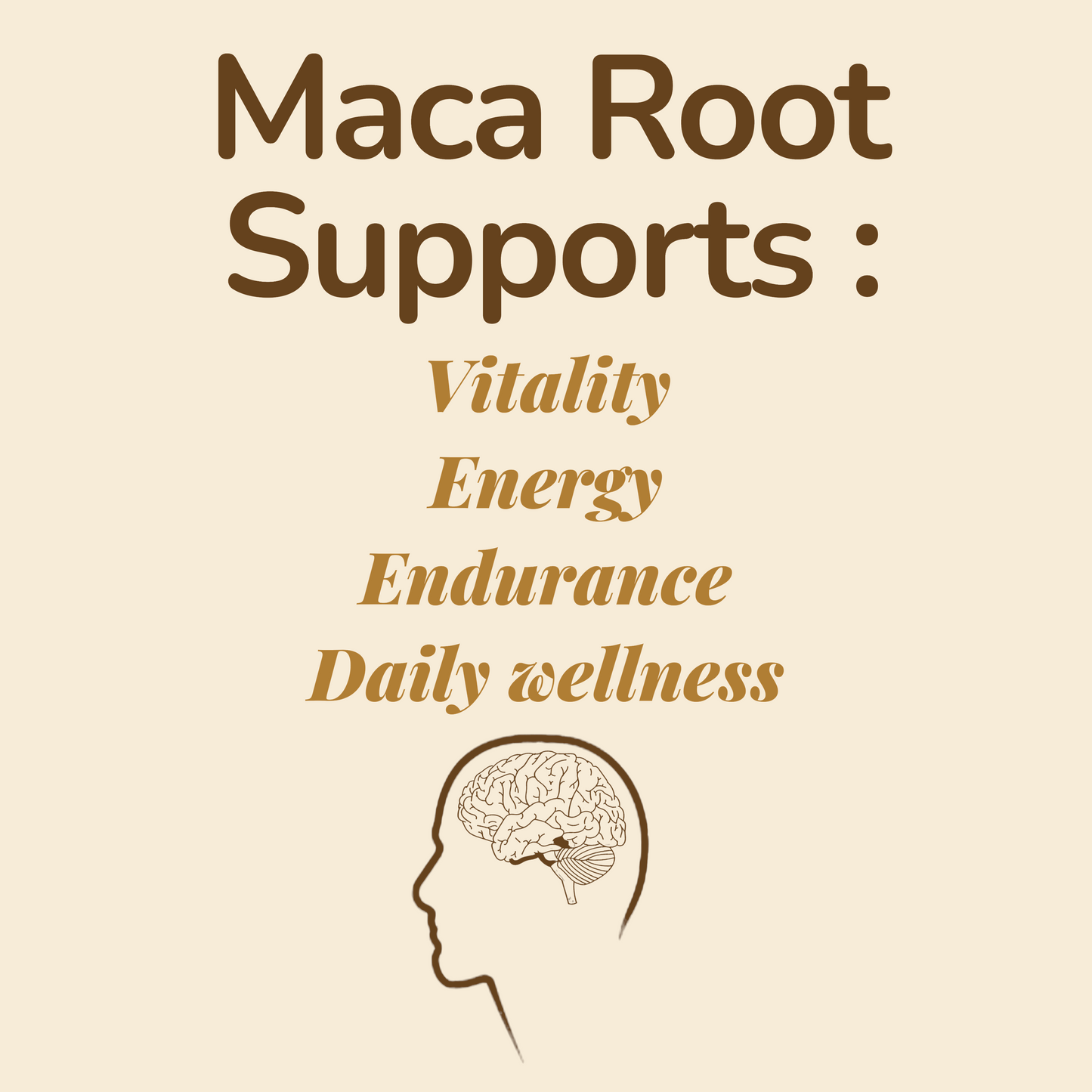 Csutra Maca Root Benefits