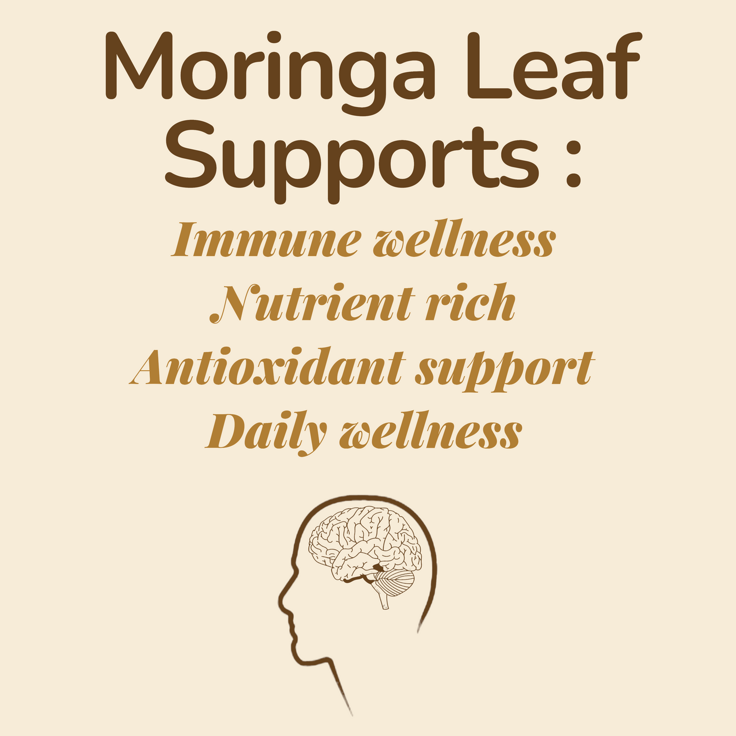 Csutra Moringa Leaf benefits